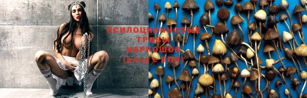 крисы Покров