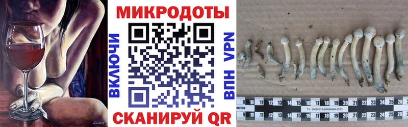 Псилоцибиновые грибы GOLDEN TEACHER  сколько стоит  Усмань 